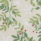 Park Designs Williamsburg Snowflakes And Berries Placemat - Set of 12