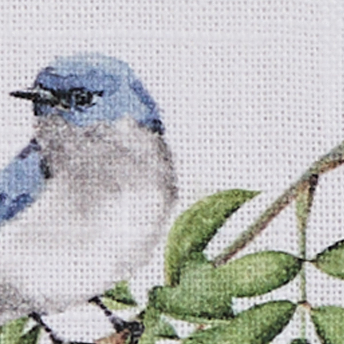 Park Designs Williamsburg Songbird Napkin - Set of 12