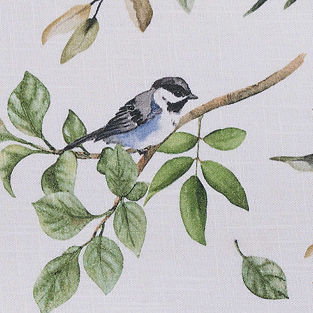 Park Designs Williamsburg Songbird Placemat - Set of 12