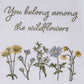 Park Designs Williamsburg You Belong Among Dishtowel - Set of 6