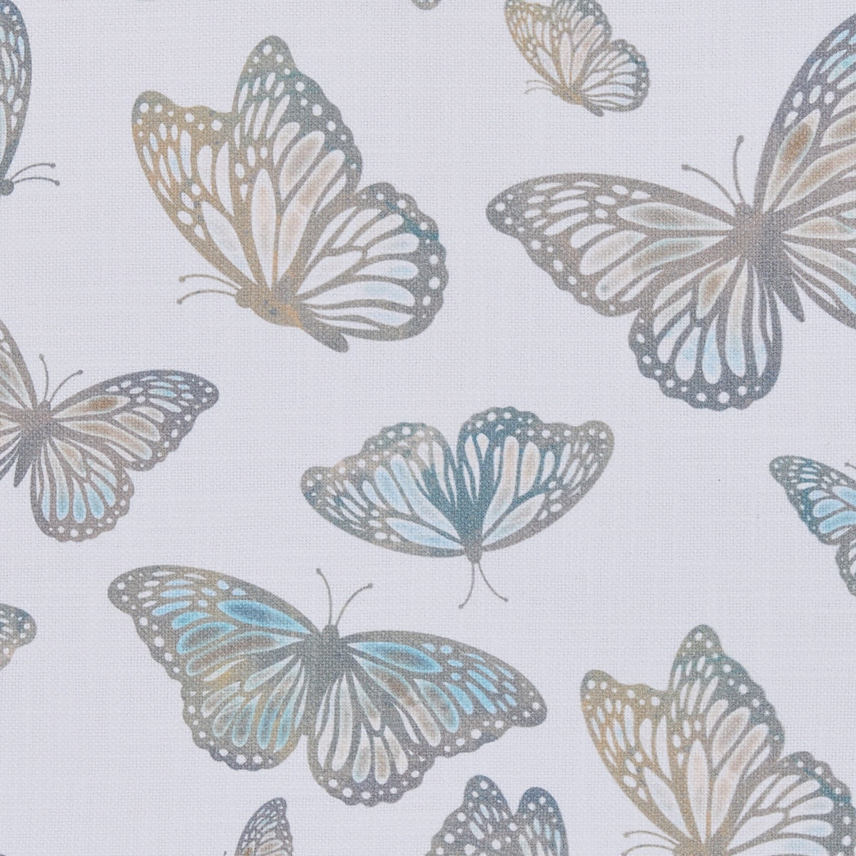 Park Designs Wings Placemat - Set of 12