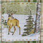 Park Designs Winter Morning Plaid Decorative Dishtowel - Set of 6