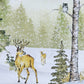 Park Designs Woodland Winter Placemat - Set of 12