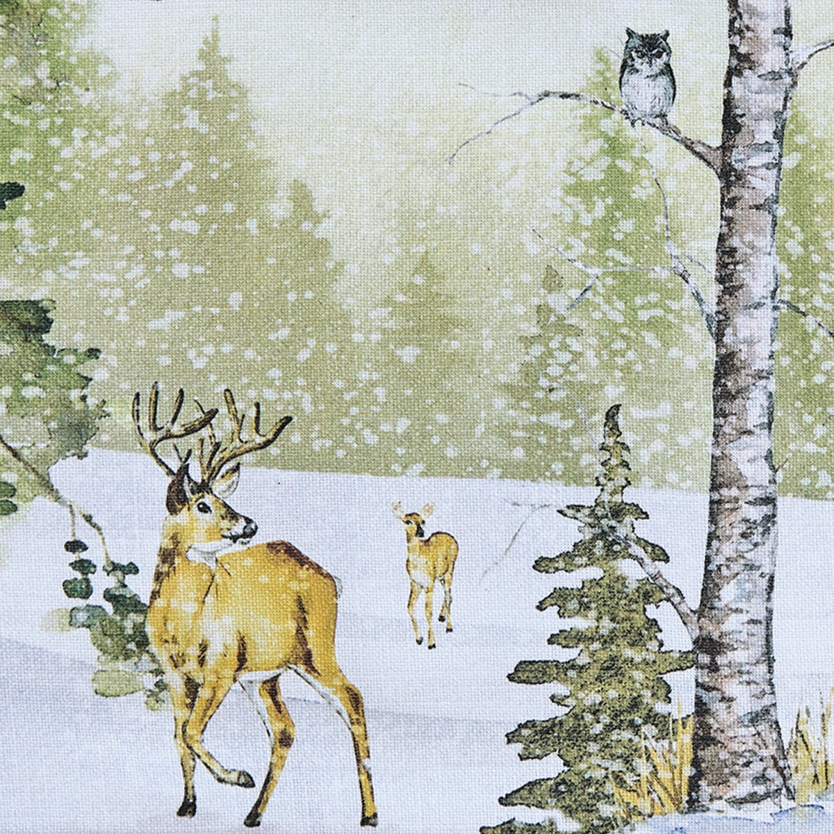 Park Designs Woodland Winter Placemat - Set of 12