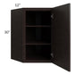 RTA Brazilian Shaker 24" x 30" Wall Diagonal Corner Cabinet