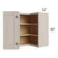 RTA Catalina Mist 24" x 30" Wall Easy Reach Cabinet with 2 Decorative End Panels