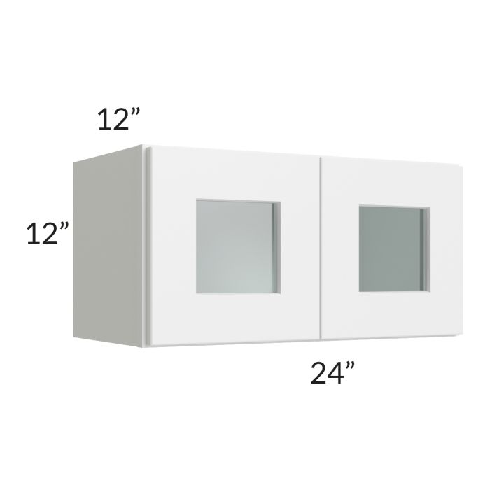 RTA Frosted White Shaker 24" x 12" Decorative Wall Cabinet with Plain Glass