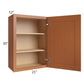 RTA Lexington Cinnamon Glaze 21" x 30" Wall Cabinet with Mullion Glass Door