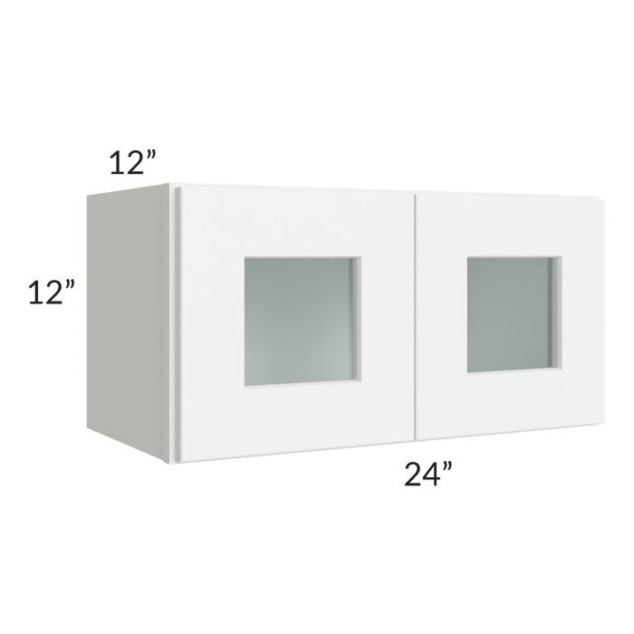 24 X 12 Cabinet