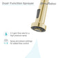 Swiss Madison Nouvet 15" Single Handle Brushed Gold Kitchen Faucet With 360 Swivel and Pull-Out Spray