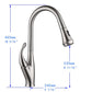 Vanity Art 10" W x 19" H Brushed Nickel Stainless Steel Single Lever High Arc Kitchen Sink Faucet With Pull Down Sprayer