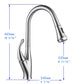 Vanity Art 10" W x 19" H Polished Chrome Stainless Steel Single Lever High Arc Kitchen Sink Faucet With Pull Down Sprayer