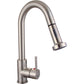 Vanity Art 8" W x 17" H Brushed Nickel Stainless Steel Single Lever High Arc Kitchen Sink Faucet With Pull Down Sprayer