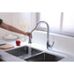 Vanity Art 8" W x 17" H Polished Chrome Stainless Steel Single Lever High Arc Kitchen Sink Faucet With Pull Down Sprayer