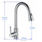 Vanity Art 9" W x 17" H Polished Chrome Stainless Steel Single Lever Kitchen Sink Faucet With Pull Down Sprayer