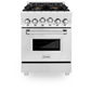 ZLINE 24" 2.8 cu. ft. Range With Gas Stove and Gas Oven in Stainless Steel With Brass Burners