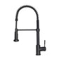 ZLINE Apollo Matte Black Kitchen Faucet