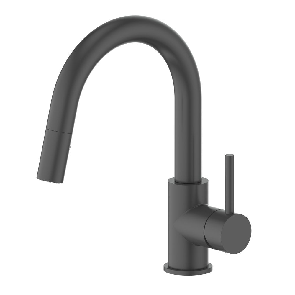 ZLINE Dante Matte Black Pull Down Kitchen Faucet