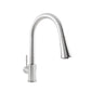 ZLINE Edison Brushed Nickel Pull Down Kitchen Faucet