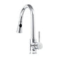 ZLINE Edison Chrome Pull Down Kitchen Faucet