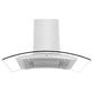 ZLINE GL14i 30" Stainless Steel and Glass Island Mount Range Hood