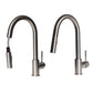 ZLINE Gemini Brushed Nickel Pull Down Kitchen Faucet