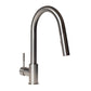 ZLINE Gemini Brushed Nickel Pull Down Kitchen Faucet