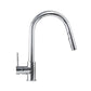 ZLINE Gemini Chrome Pull Down Kitchen Faucet