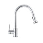 ZLINE Monet Chrome Single Hole 1.8 GPM Kitchen Faucet With Pull Out Spray Wand