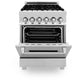 ZLINE Professional 24" Stainless Steel Professional Dual Fuel Range