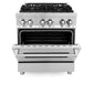 ZLINE Professional 30" Stainless Steel Blue Matte Door 4 Burner Dual Fuel Range With 4.0 cu. ft. Electric Oven