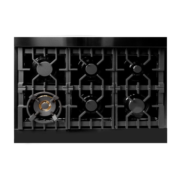 ZLINE Professional 36" Dual Fuel Black Stainless Steel 6 Burner Gas Range With 4.6 cu. ft. Electric Oven