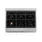 ZLINE Professional 36" DuraSnow Stainless Steel Dual Fuel Range With 6 Brass Burners and 4.6 cu. ft. Electric Oven